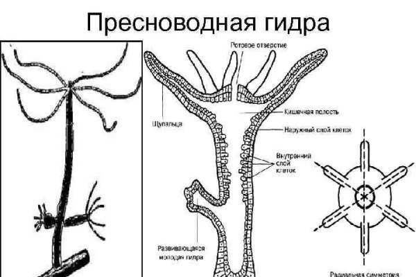 Реальные ссылки кракен